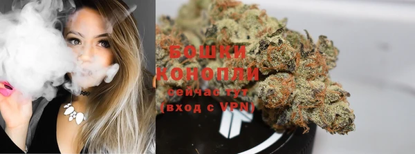 гидропоника Богородицк