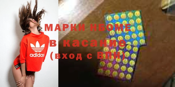 индика Грязовец
