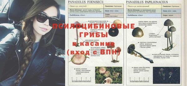 мяу мяу кристалл Богданович