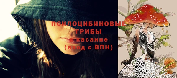 мяу мяу кристалл Богданович