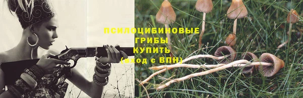 гидропоника Богородицк